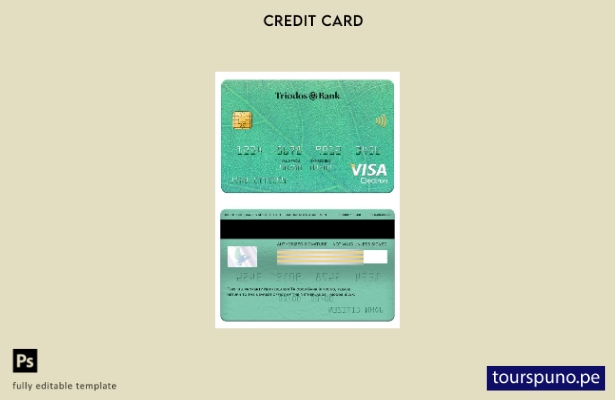 Plantilla de tarjeta electrónica visa Triodos Bank de Países Bajos lista para im